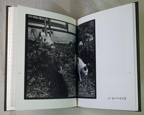 初版900部・日記付き】深瀬昌久 写真集 Afterword - メルカリ