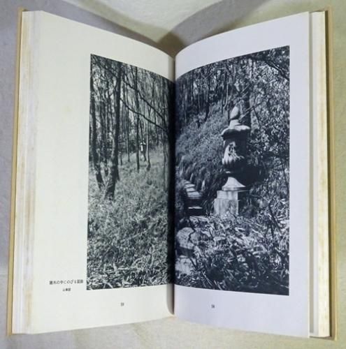 飯田十基庭園作品集 - 古本買取販売 ハモニカ古書店 建築 美術 写真