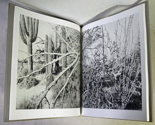 Lee Friedlander: The Desert Seen リー・フリードランダー - 古本買取