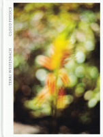Terri Weifenbach: Cloud Physics ƥꡦ磻եХå
