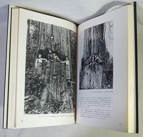 森へ ダリウス・キンゼイ写真集 - 古本買取販売 ハモニカ古書店