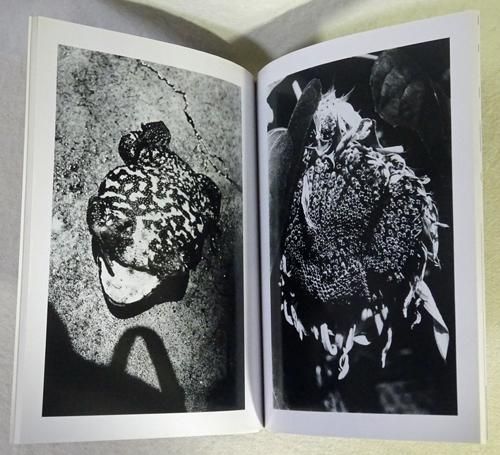 森山大道 作品集 Fragments フラグメンツ Fragments: Representation of Moriyama Daido