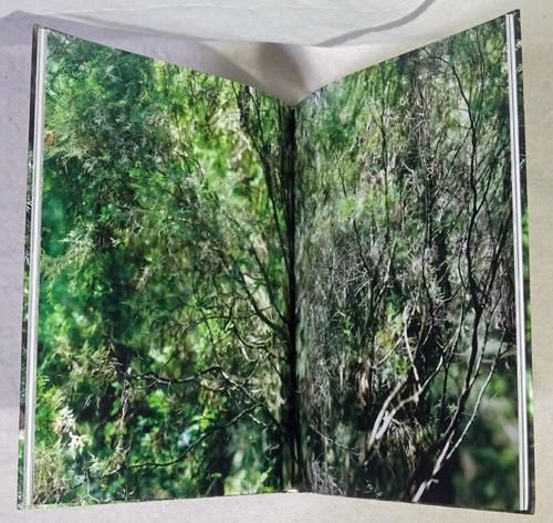 Naruki Oshima: haptic green／緑の触覚 大島成己 - 古本買取販売