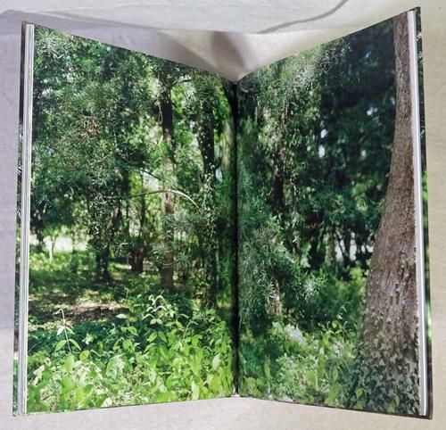【激安通販 オンラインショップ】 Naruki Oshima: haptic green／緑の触覚 大島成己 - 古本買取 アート・デザイン・音楽
