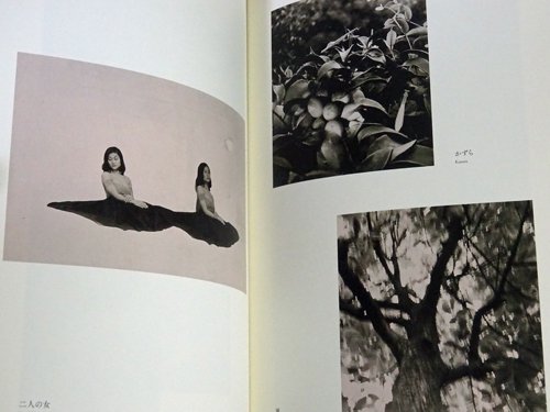 岡上淑子全作品 The Complete Works of Toshiko Okanoue - 古本買取