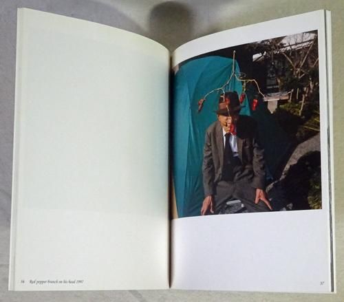 young tree 若木信吾写真集 - 古本買取販売 ハモニカ古書店 建築