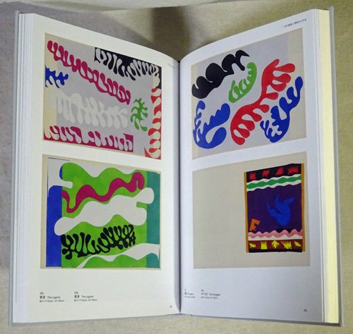 ޥƥŸHenri Matisse: The Path to Colorβ