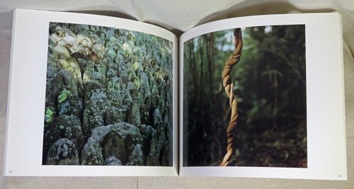 ヴィム&ドナータヴェンダース写真展 尾道への旅 Photos by Wim & Donata Wenders：journey to Onomichi  - 古本買取販売 ハモニカ古書店 建築 美術 写真 デザイン 近代文学 大阪府古書籍商組合加盟店