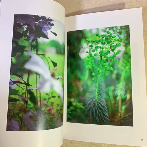 Heliotropism / Terri Weifenbach and Kate MacDonnell テリ・ワイフェンバックu0026ケイト・マクドネル -  古本買取販売 ハモニカ古書店 建築 美術 写真 デザイン 近代文学 大阪府古書籍商組合加盟店