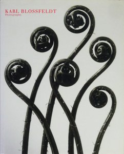 Karl Blossfeldt: Photography カール・ブロスフェルト - 古本買取販売 ハモニカ古書店 建築 美術 写真 デザイン  近代文学 大阪府古書籍商組合加盟店