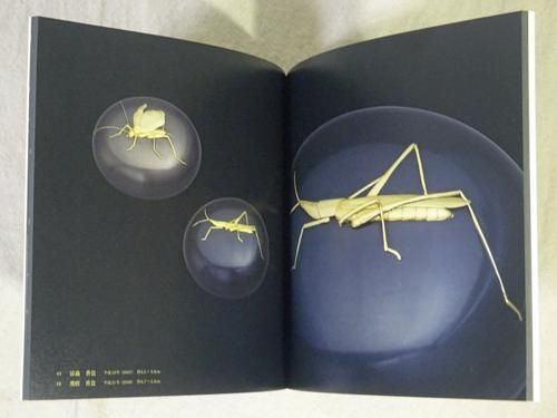 図録 人間国宝 桂盛仁 金工の世界 江戸彫金の技 人間国宝・桂盛仁 金工の世界 江戸彫金の技 - 古本買取販売