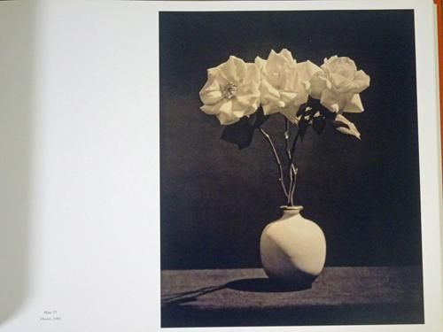 Mapplethorpe Flora : The Complete Flowers : Robert