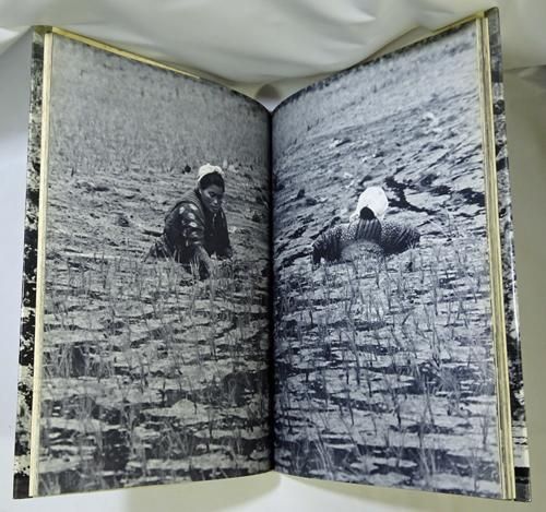 裏日本 濱谷浩写真集 - 古本買取販売 ハモニカ古書店 建築 美術