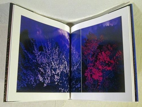 花狩 山村雅昭写真集 - 古本買取販売 ハモニカ古書店 建築 美術