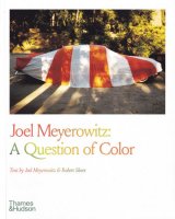 Joel Meyerowitz: A Question of Color 票롦ޥå