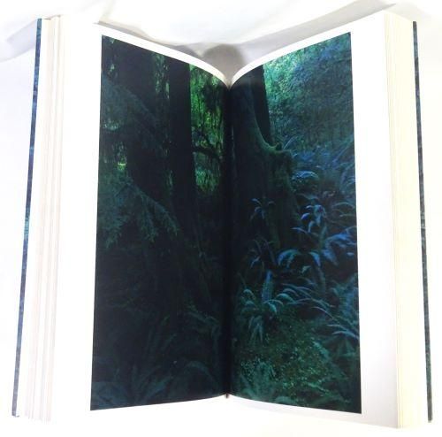 QUINAULT クゥィノルト 上田義彦写真集 サイン入り - 古本買取 QUINAULT クゥィノルト 上田義彦写真集 サイン入り - 古本買取