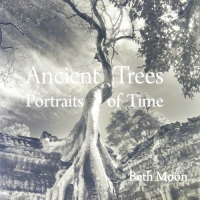 Ancient Trees: Portraits of Time by Beth Moon ٥ࡼ