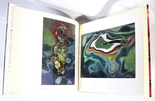 Ernst Haas Color Photography エルンスト・ハース - 古本買取