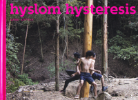 ҥ ҥƥꥷ Hyslom hysteresis
