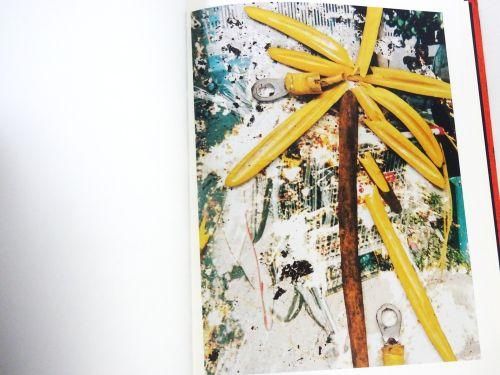 HACKNEY FLOWERS  Stephen Gill  スティーブン・ギル HACKNEY FLOWERS by Stephen Gill – twelvebooks