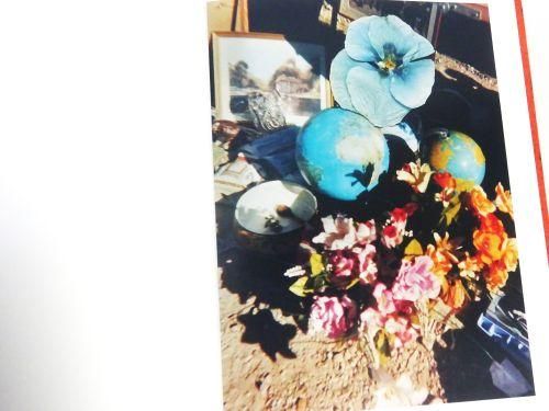 HACKNEY FLOWERS by Stephen Gill – twelvebooks