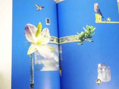 妖精たちの森 野中ユリ画集 新装版 - 古本買取販売 ハモニカ古 妖精たちの森 野中ユリ画集 新装版 - 古本買取販売 ハモニカ古