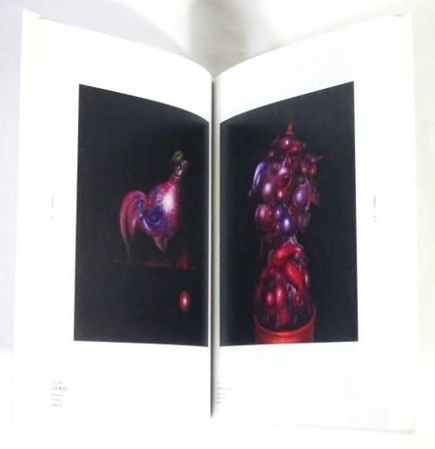 横尾龍彦 瞑想の彼方 Yokoo Tatsuhiko: Beyond the Realm of 横尾龍彦 瞑想の彼方 Yokoo Tatsuhiko: Beyond the Realm of