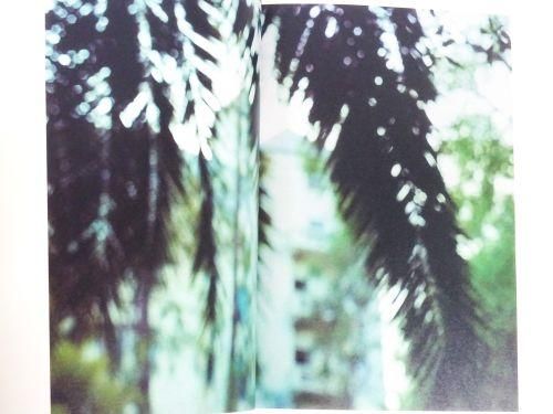 Jack Pierson: Angel Youth ジャック・ピアソン - 古本買取販売