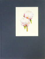 The Most Beautiful Flowers by Kenji Toma ƣָ