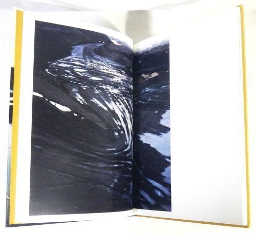 Terrils: Naoya Hatakeyama 畠山直哉 - 古本買取販売 ハモニカ古