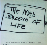 THE MAD BROOM OF LIFEFirst Editionˡⶶ
