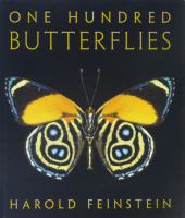 One Hundred Butterflies by Harold Feinstein ϥɡե󥹥
