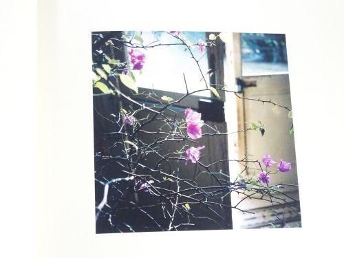 Casa Ghirri by François Halard フランソワ・アラール - 古本買取販売