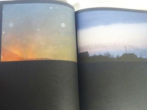 Rinko Kawauchi: Halo 川内倫子 - 古本買取販売 ハモニカ古書店 建築