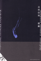 ¼͵ưꡡNobuhiro Shimura : interplaySigned