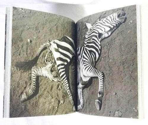 Peter Beard: The End of the Game: The Last Word from Paradise