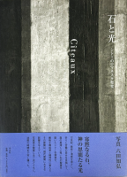 �Фȸ������ȡ��Υ��ޥͥ�����Ʋ��ϻ���ι�