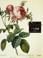 Les Roses Х ǡԥ=祼աɥ