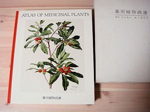 薬用植物画譜／小磯良平画   古本買取販売 ハモニカ古書店 建築 美術