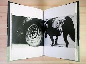 Daido Moriyama: Stray Dog 森山大道 サイン入り - 古本買取販売
