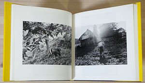 百年のひまわり 小栗昌子写真集 - 古本買取販売 ハモニカ古書店 建築