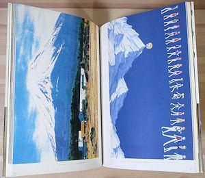 Super flat スーパーフラット 村上隆 - 古本買取販売 ハモニカ古書店 