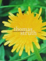 Thomas Struth: The Dandelion Room ȡޥȥ롼