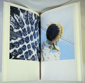 AILA 川内倫子写真集 - 古本買取販売 ハモニカ古書店 建築 美術