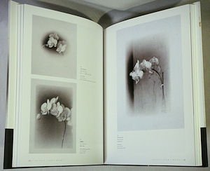 増補 磯江毅 写実考 Enlargement Gustavo ISOE's Works 1974-2007