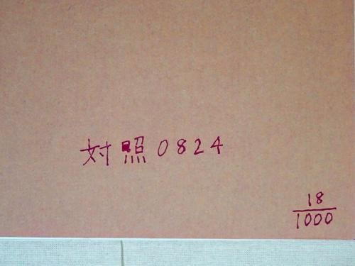 浮浪 佐内正史 - 古本買取販売 ハモニカ古書店 建築 美術 写真