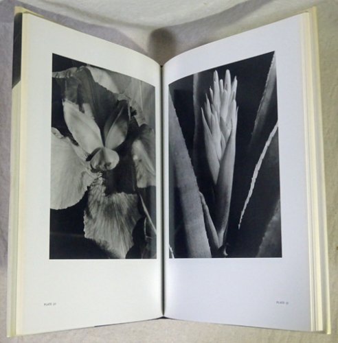 Imogen Cunningham: Flora イモージン・カニンガム - 古本買取販売 ハモニカ古書店 建築 美術 写真 デザイン 近代文学  大阪府古書籍商組合加盟店