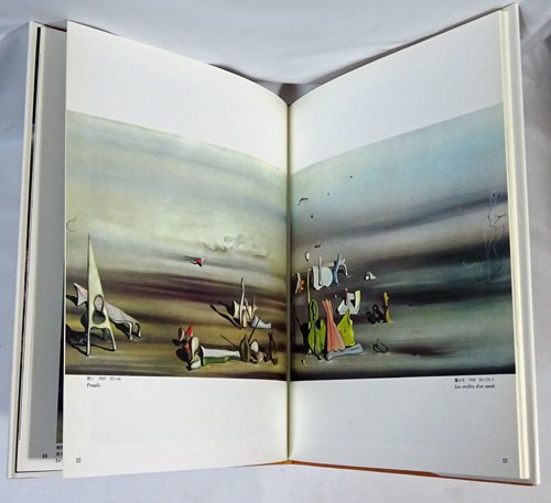 イヴ・タンギー シュルレアリスムと画家叢書「骰子の7の目」 第9巻