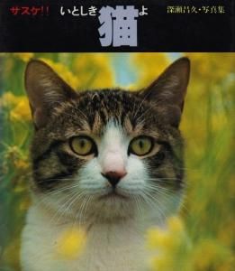 サスケ!! いとしき猫よ 深瀬昌久写真集 - 古本買取販売 ハモニカ古書店 ...