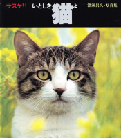 <img class='new_mark_img1' src='https://img.shop-pro.jp/img/new/icons50.gif' style='border:none;display:inline;margin:0px;padding:0px;width:auto;' />!! Ȥǭ衡